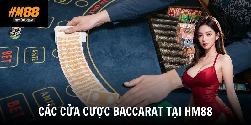 Các cửa cược baccarat là gì mà người chơi cần phải nắm