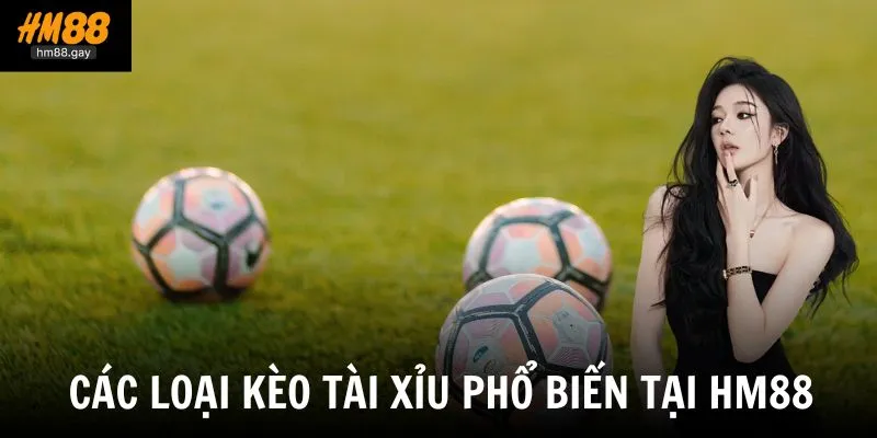HM88 cung cấp nhiều loại kèo đa dạng để người chơi dễ dàng lựa chọn