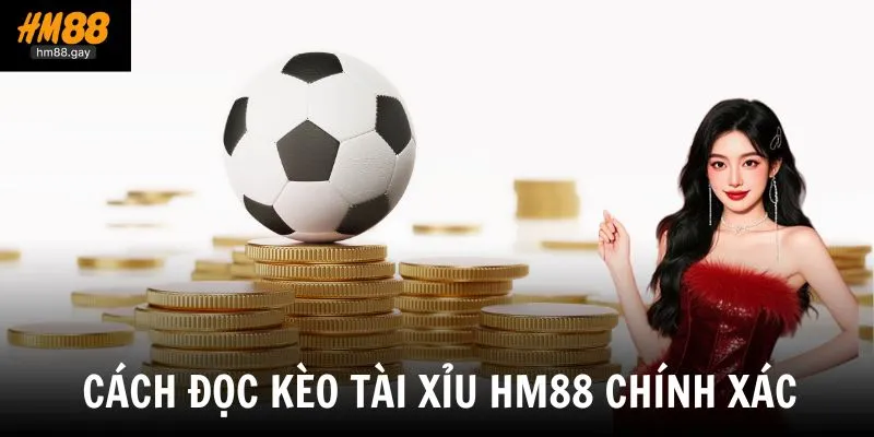 Chia sẻ cách đọc kèo tài xỉu chính xác giúp bạn tính toán lợi nhuận hợp lý