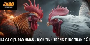da ga cua dao hm88 kich tinh trong tung tran dau