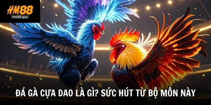 Đá Gà Cựa Dao - Hình Thức Giải Trí Kịch Tính Tại Nhà Cái HM88 2 Giải mã đá gà cựa dao - Loại hình thi đấu đối kháng hấp dẫn nhất hiện nay