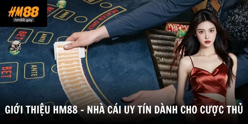 Toàn cảnh về nhà cái HM88 - Hệ thống giải trí quy mô lớn