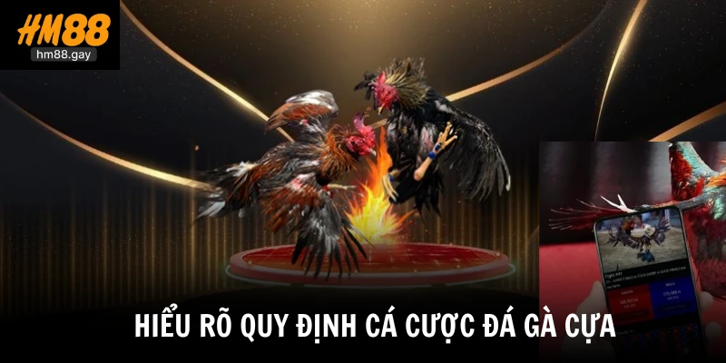 Đá Gà Cựa Sắt HM88 - Hội Tụ Các Trận Chiến Rực Lửa Nhất 3 Hiểu rõ quy định cá cược đá gà cựa