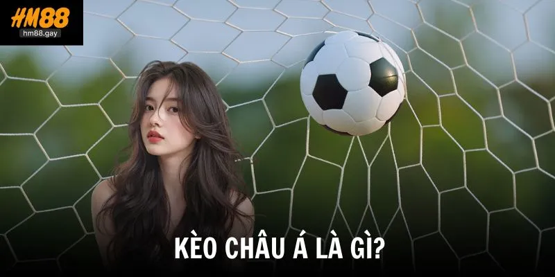 Giới thiệu loài kèo được nhiều người chơi ưa thích trong cá cược bóng đá