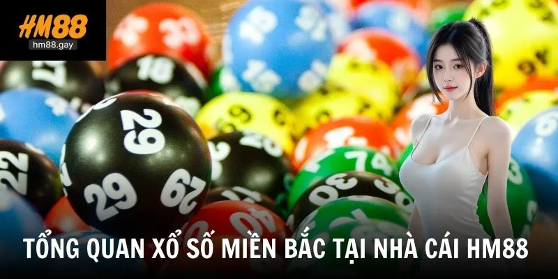 Xổ Số Miền Bắc - Hình Thức Giải Trí Quen Thuộc Tại Nhà Cái HM88 Uy Tín 2 Tổng quan về xổ số miền Bắc tại nhà cái HM88